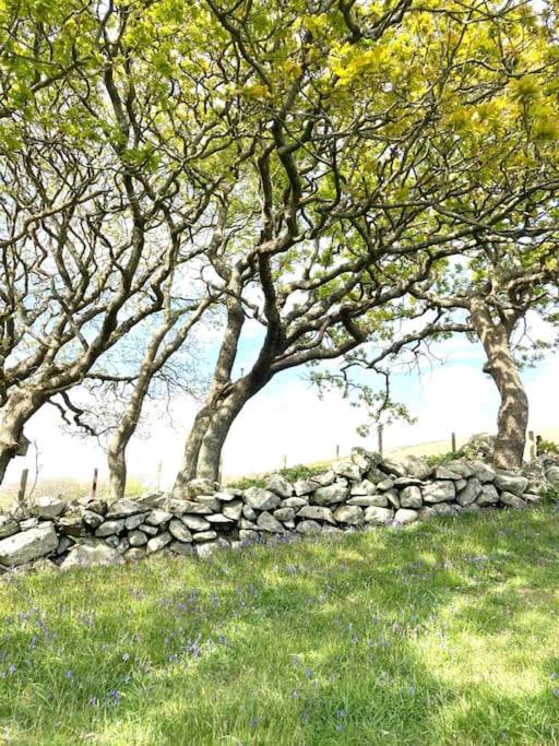 Hotel Cwt Y Bugail Barmouth Exterior foto